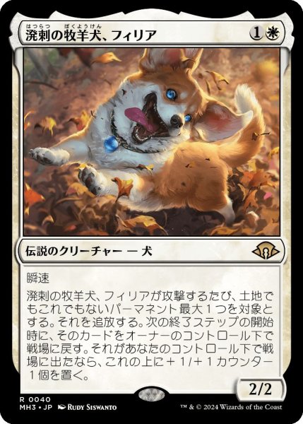 画像1: (MH3)白　溌剌の牧羊犬、フィリア(R) (1)